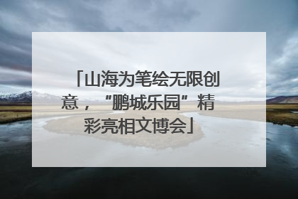 山海为笔绘无限创意，“鹏城乐园”精彩亮相文博会
