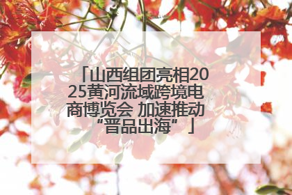 山西组团亮相2025黄河流域跨境电商博览会 加速推动“晋品出海”