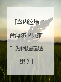 岛内这场“台海防卫兵推”为何越描越黑？