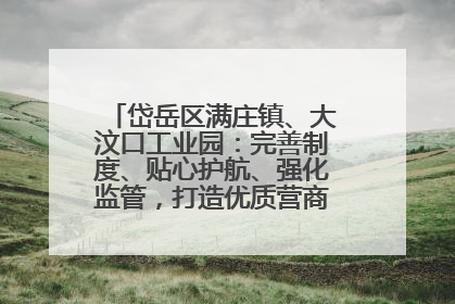 岱岳区满庄镇、大汶口工业园：完善制度、贴心护航、强化监管，打造优质营商“强磁场”