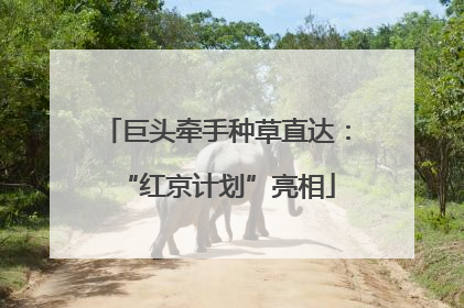 巨头牵手种草直达：“红京计划”亮相