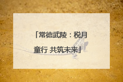 常德武陵：税月童行 共筑未来