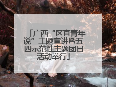 广西“区直青年说”主题宣讲暨五四示范性主题团日活动举行