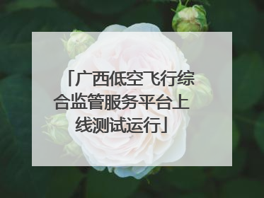 广西低空飞行综合监管服务平台上线测试运行