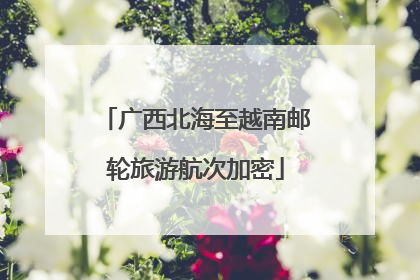 广西北海至越南邮轮旅游航次加密