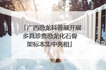 广西恐龙科普展开展 多具珍贵恐龙化石骨架标本集中亮相