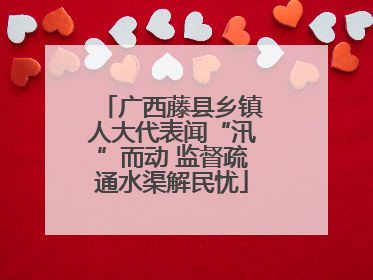广西藤县乡镇人大代表闻“汛”而动 监督疏通水渠解民忧