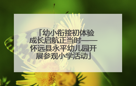 幼小衔接初体验 成长启航正当时——怀远县永平幼儿园开展参观小学活动