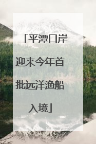 平潭口岸迎来今年首批远洋渔船入境