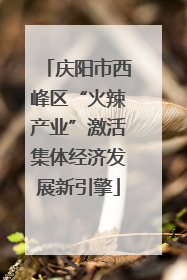 庆阳市西峰区“火辣产业”激活集体经济发展新引擎