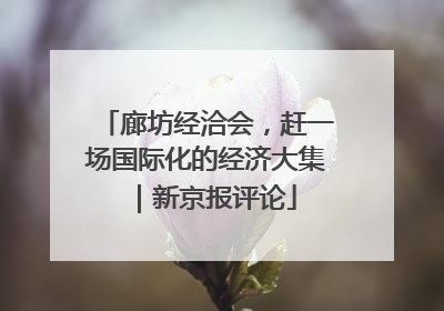 廊坊经洽会，赶一场国际化的经济大集｜新京报评论