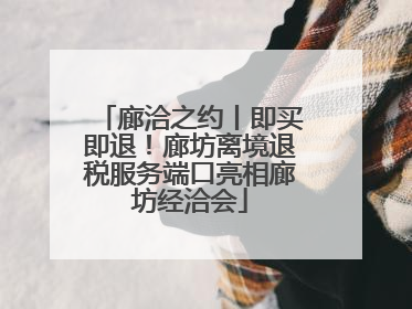 廊洽之约丨即买即退！廊坊离境退税服务端口亮相廊坊经洽会