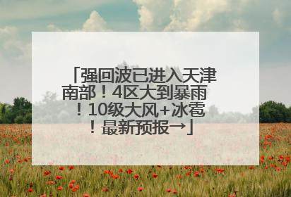 强回波已进入天津南部！4区大到暴雨！10级大风+冰雹！最新预报→