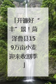 开镰好“丰”景！菏泽曹县159万亩小麦迎来收割季