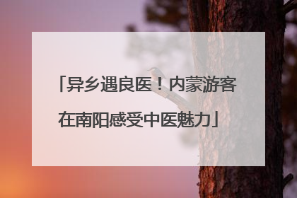 异乡遇良医！内蒙游客在南阳感受中医魅力