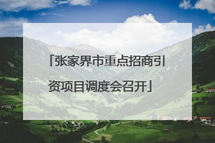 张家界市重点招商引资项目调度会召开