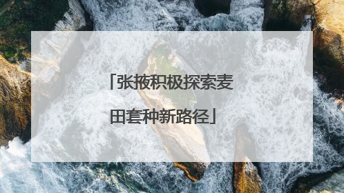 张掖积极探索麦田套种新路径