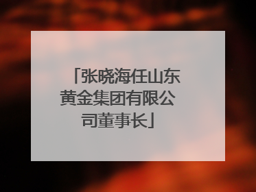 张晓海任山东黄金集团有限公司董事长