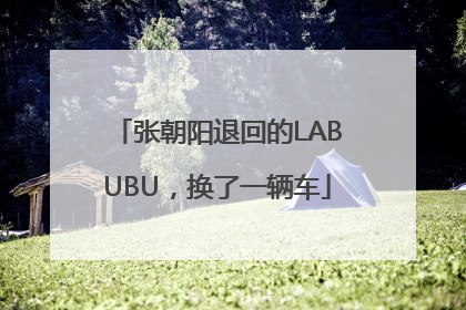 张朝阳退回的LABUBU，换了一辆车