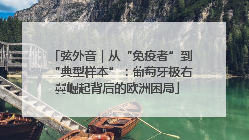 弦外音｜从“免疫者”到“典型样本”：葡萄牙极右翼崛起背后的欧洲困局