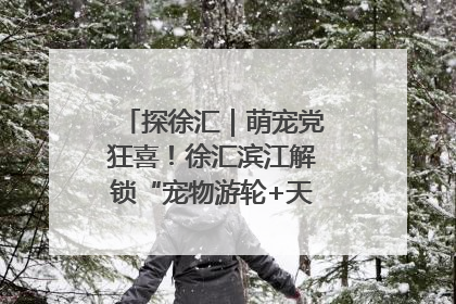 探徐汇｜萌宠党狂喜！徐汇滨江解锁“宠物游轮+天台乐园”双玩法