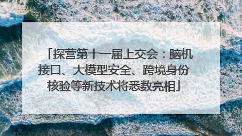 探营第十一届上交会：脑机接口、大模型安全、跨境身份核验等新技术将悉数亮相