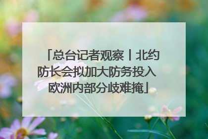 总台记者观察丨北约防长会拟加大防务投入 欧洲内部分歧难掩