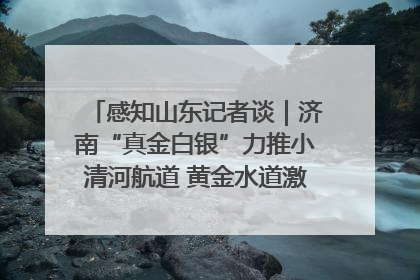 感知山东记者谈｜济南“真金白银”力推小清河航道 黄金水道激活区域经济新动能