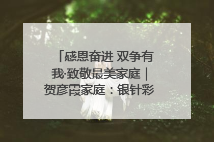 感恩奋进 双争有我·致敬最美家庭｜贺彦霞家庭：银针彩线绣出好日子