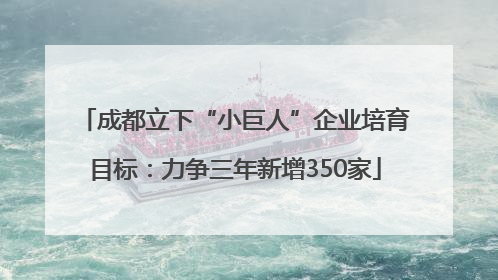 成都立下“小巨人”企业培育目标：力争三年新增350家