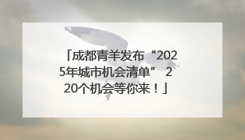 成都青羊发布“2025年城市机会清单” 220个机会等你来！