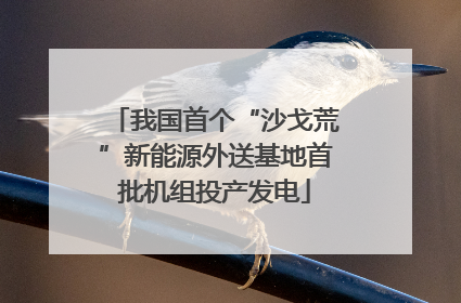 我国首个“沙戈荒”新能源外送基地首批机组投产发电
