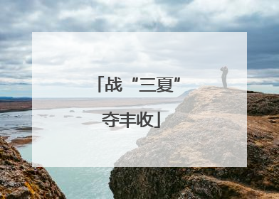 战“三夏” 夺丰收