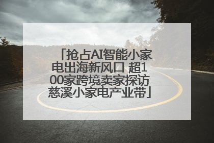 抢占AI智能小家电出海新风口 超100家跨境卖家探访慈溪小家电产业带