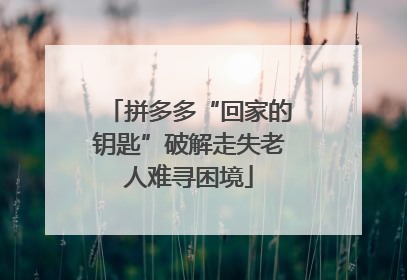 拼多多“回家的钥匙”破解走失老人难寻困境