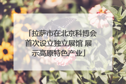 拉萨市在北京科博会首次设立独立展馆 展示高原特色产业