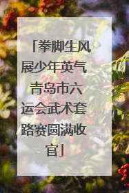 拳脚生风展少年英气 青岛市六运会武术套路赛圆满收官