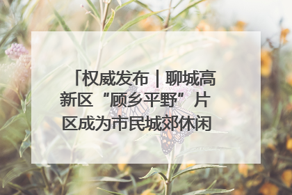 权威发布｜聊城高新区“顾乡平野”片区成为市民城郊休闲全新目的地