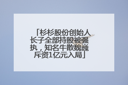 杉杉股份创始人长子全部持股被强执，知名牛散魏巍斥资1亿元入局