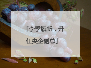 李季履新，升任央企副总