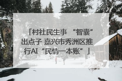 村社民生事 “智囊”出点子 嘉兴市秀洲区推行AI“民情一本账”