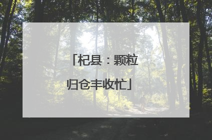 杞县：颗粒归仓丰收忙
