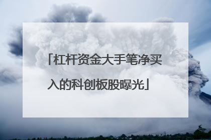 杠杆资金大手笔净买入的科创板股曝光