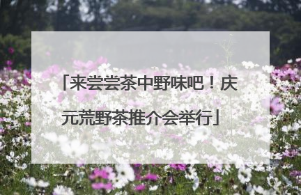 来尝尝茶中野味吧！庆元荒野茶推介会举行