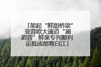 架起“鲜甜桥梁” 亚蓉欧大通道“澜湄蓉”鲜果专列顺利运抵成都青白江