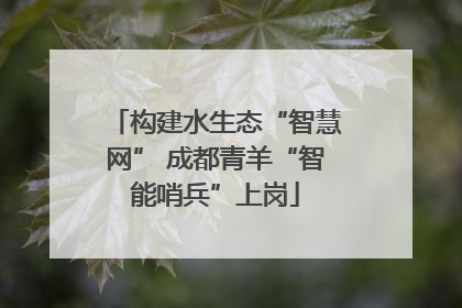 构建水生态“智慧网” 成都青羊“智能哨兵”上岗