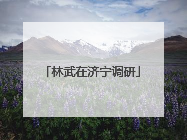 林武在济宁调研