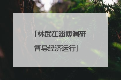林武在淄博调研督导经济运行