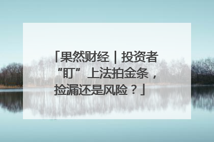 果然财经｜投资者“盯”上法拍金条，捡漏还是风险？