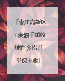 枣庄高新区：麦浪千重收割忙 多措并举保丰收